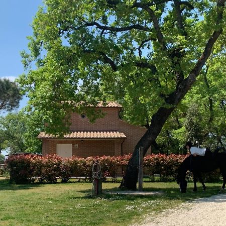 Villa Casina Miriano Castiglione del Lago Exterior foto