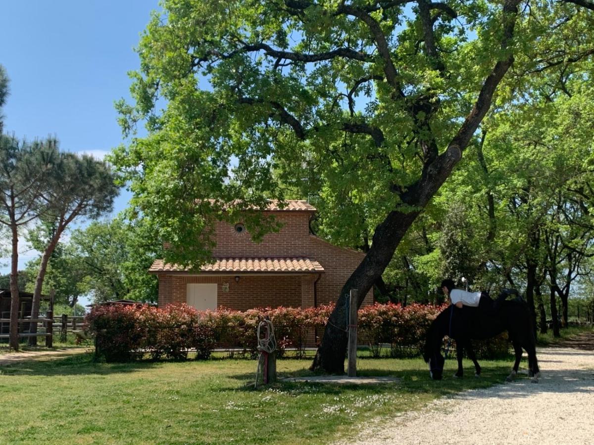 Villa Casina Miriano Castiglione del Lago Exterior foto