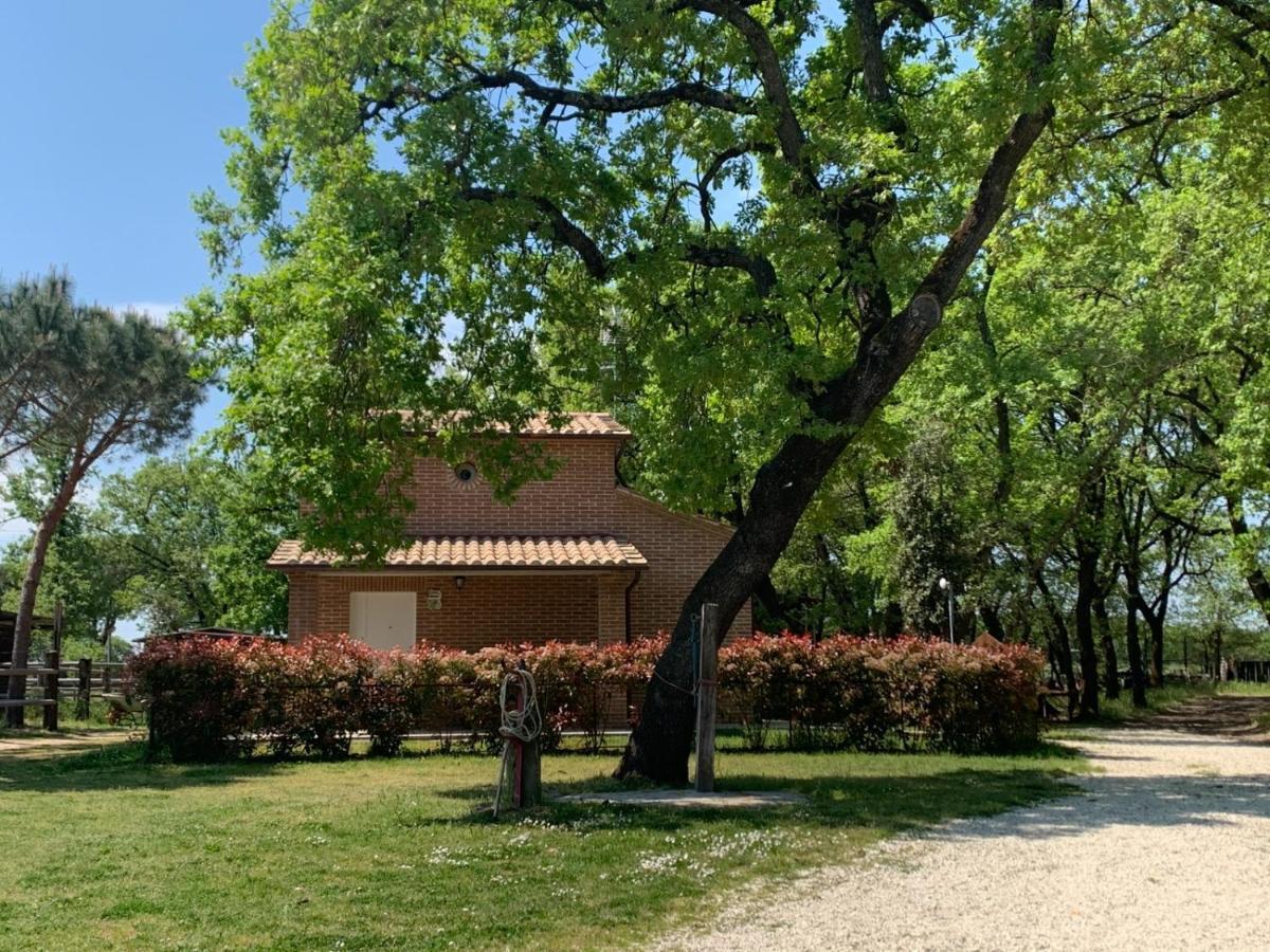 Villa Casina Miriano Castiglione del Lago Exterior foto
